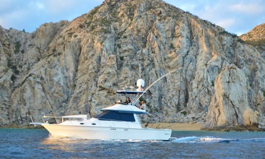 38ft Mediterranean Sportfishing Yacht for Charter in Cabo San Lucas