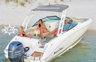 Gorgeous 25ft Fully Loaded Spacious! Multi-day And Weekly Rentals!