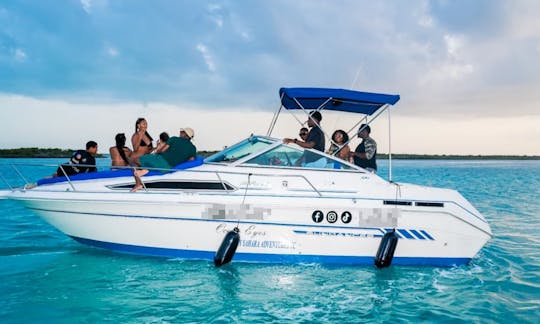 Luxury Searay Sundancer Mini Yacht Rental