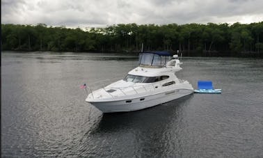 Yate a motor Sealine Flybridge de 50 pies para una escapada llena de diversión en Aventura, Florida