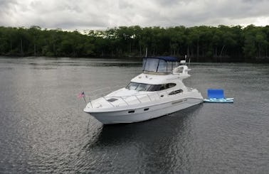 50ft Sealine Flybridge Motor Yacht in Aventura, Florida