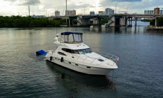 50ft Sealine Flybridge Motor Yacht in Aventura, Florida