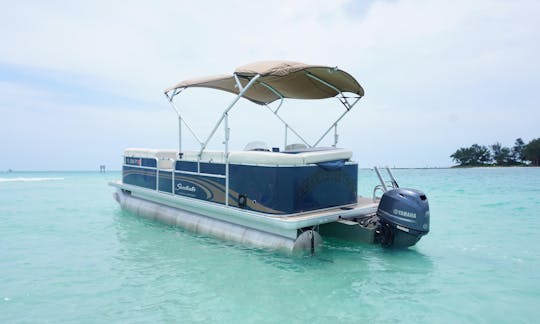 22' Family Friendly Pontoon in Palmetto, Florida