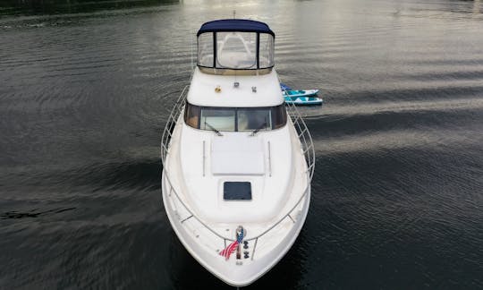 Alquiler de yate a motor de lujo Sealine T50 de 50 pies en Miami, Florida