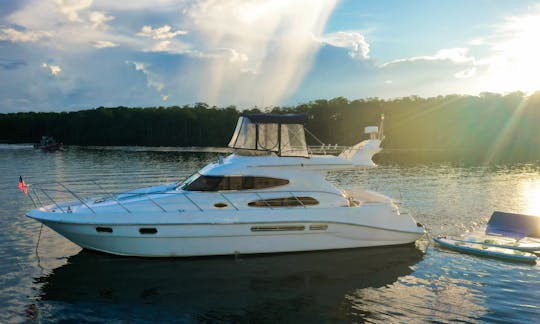50ft Sealine T50 Luxury Motor Yacht Rental Miami, Florida