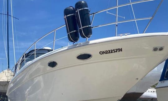 Yate SeaRay Sundancer de 40 pies para alquilar en Toronto