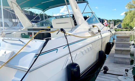 38ft Party yacht in Toronto