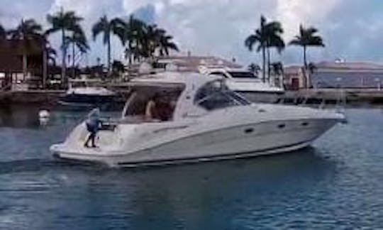 Visitez l'île de Saona et sa piscine naturelle en louant notre Sea Ray à Punta Cana