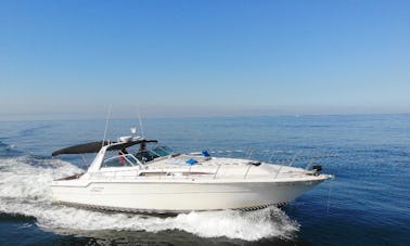 Sea Ray Sundancer 460 en Puerto Vallarta, Jalisco