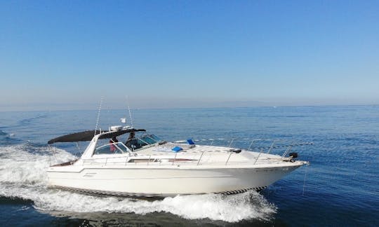 Sea Ray Sundancer 460 in Puerto Vallarta, Jalisco