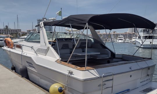 Sea Ray Sundancer 460 in Puerto Vallarta, Jalisco