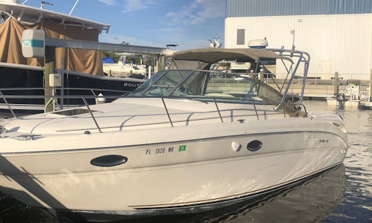 Searay Amberjack 290 Motor Yacht Rental in Dunedin, Florida