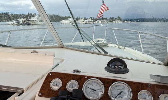 31' Pursuit Denali for Charter and Cruises in Seattle