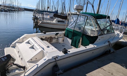 31' Pursuit Denali for Charter and Cruises in Seattle