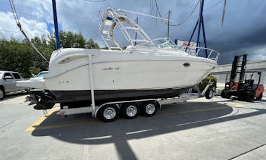 Searay Amberjack 290 Motor Yacht Rental in Dunedin, Florida