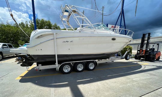 Searay Amberjack 290 Motor Yacht Rental in Dunedin, Florida