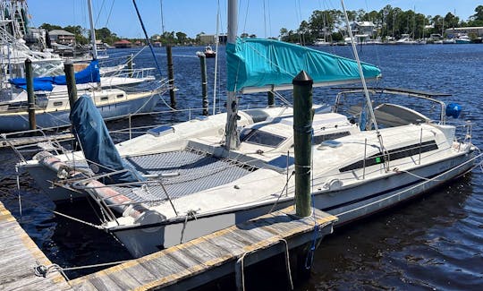 Private Party on Kaulua 31 Sailing Catamaran in Panama City, Florida