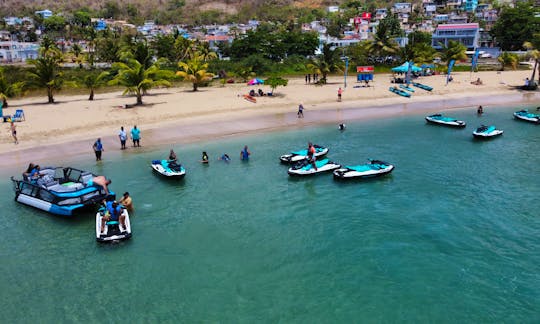 SeaDoo Switch Pontoon Boat in Playa Rompeolas Aguadilla and Playa Lala in Rincon
