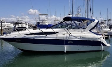 ⚓️ Bayliner 32 pés Aproveite a costa de So Cal, cruzeiro pelo porto, Emerald Bay