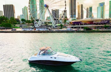 Sea Ray 38' Incredible Charter in Miami, Florida!