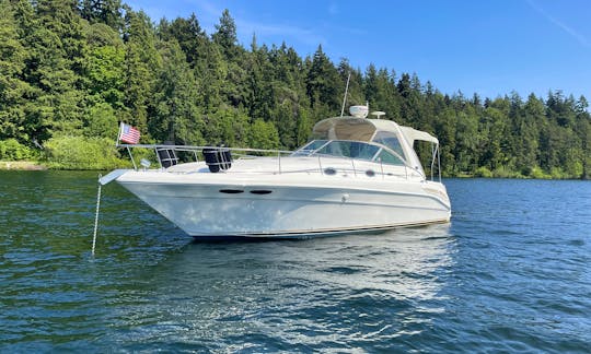 36' Luxury Yacht Sea Ray Cruiser - Cruise the Lake!