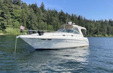 *New* Lake Cruiser! Searay Sundancer 34'