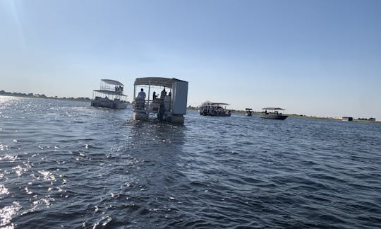 Boat Tours in Chobe National Park