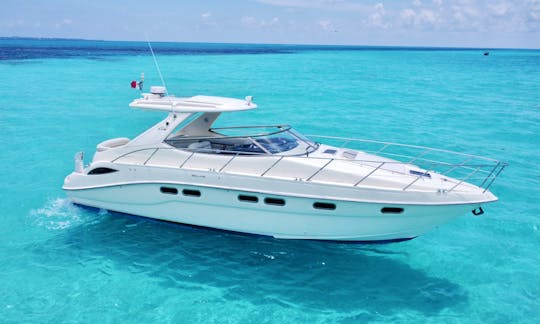 All Included unique VIP 43ft Sealine Yacht from Punta Sam, Quintana Roo