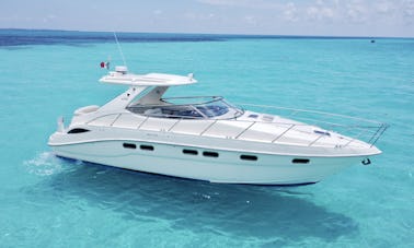 All Included unique VIP 43ft Sealine Yacht from Punta Sam, Quintana Roo