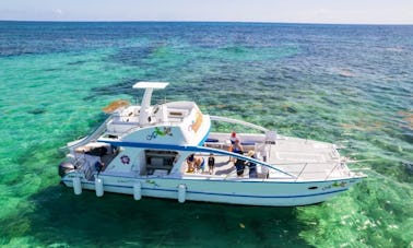 Catamaran de fête en République dominicaine