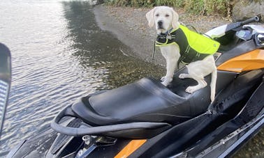 Gtr 215 Sea Doo Jet Ski In Mercer Island, Washington
