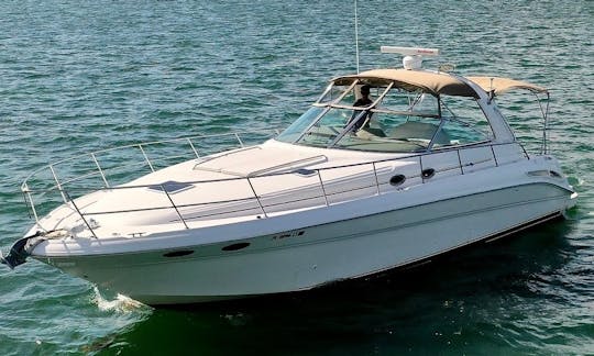 Profitez de Miami avec Sea Ray 45ft Bayside ! ! ! !