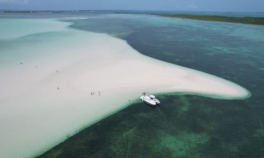 Harbour Island, location d'un bateau Intrepid VIP d'une journée avec équipage