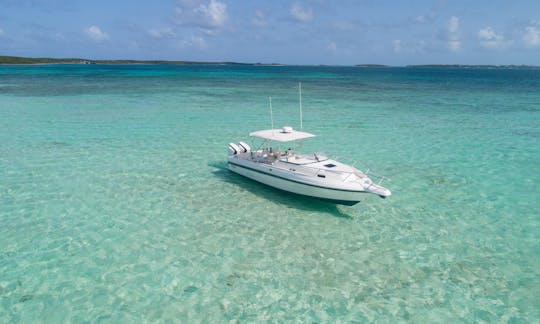 Harbour Island, location d'un bateau Intrepid VIP d'une journée avec équipage