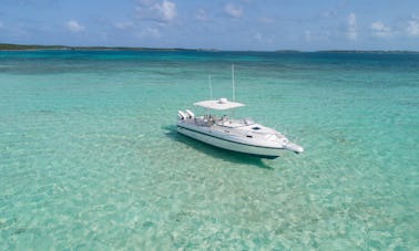 Harbour Island, 33' Intrepid VIP Full Day Crewed Boat Charter