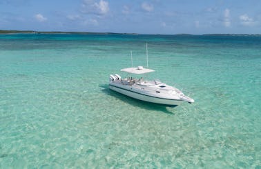 Harbour Island, 33' Intrepid VIP Full Day Crewed Boat Charter