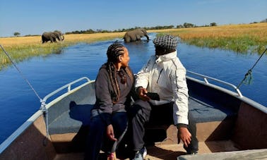 Excursions en bateau dans l'Okavango