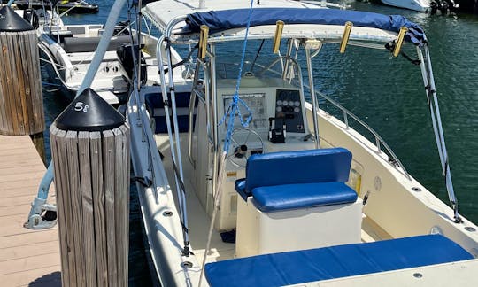 25ft World Cat Power Boat in North Miami Beach