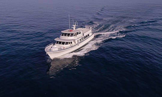 150 Passenger - Party, Whale Watch and Excursion Vessel in Mission Bay San Diego