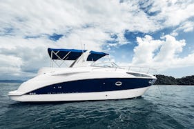 40ft Luxury Bayliner Yacht in Marina Del Rey