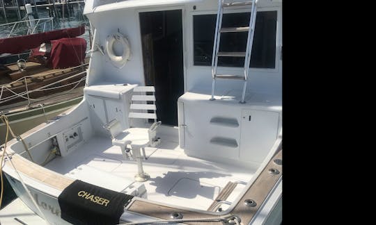 Fishing Charter On 38ft "Mornin' Ride" Yacht Nassau, The Bahamas