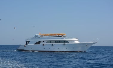 Viaje de buceo en la gobernación del Mar Rojo, Egipto