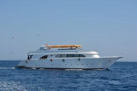 Diving Trip in Red Sea Governorate, Egypt