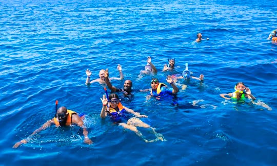 Diving Trip in Red Sea Governorate, Egypt