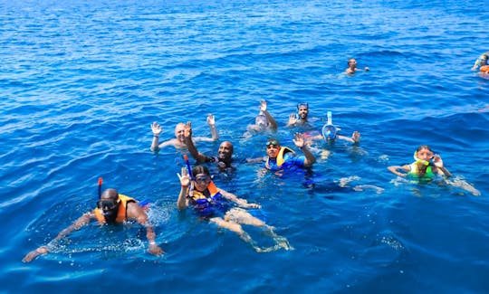 Diving Trip in Red Sea Governorate, Egypt