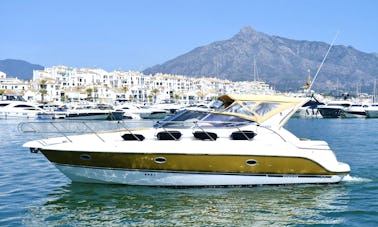 SESSA C35 LADY MARIA PUERTO BANUS