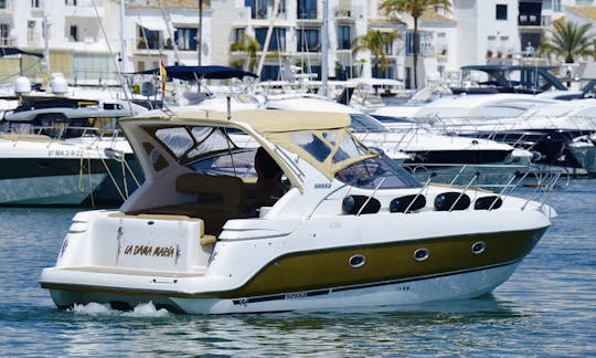 SESSA C35 LADY MARIA PUERTO BANUS