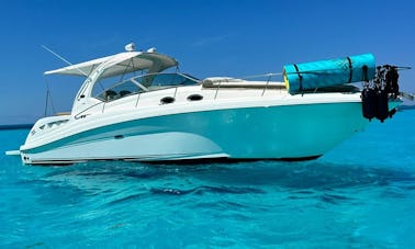 Flawless 36ft Sundancer SeaRay for 10 people in Cancún, Quintana Roo