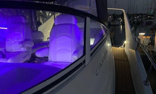 Tampa Bay - Zone de Clearwater avec un Carver Mariner parfait et élégant 38 x 190$/h