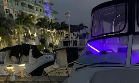 Tampa Bay - Zone de Clearwater avec un Carver Mariner parfait et élégant 38 x 190$/h